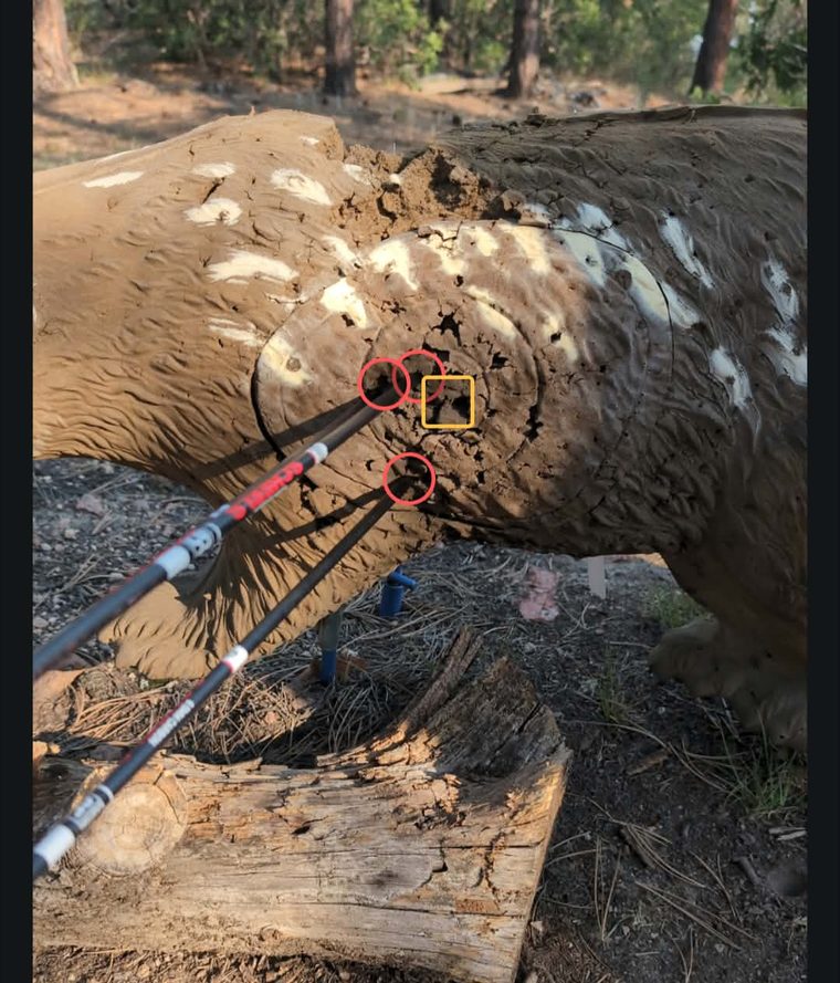 A course round with each target's photo and distance read